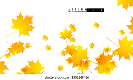 Autumn background for wallpaper. Template for the presentation of autumn discounts in the store. Advertising poster for seasonal information. Catalog with autumn sale of goods.