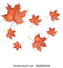 Autumn background with wedge leaves. Vector illustration for print, textile, paper.