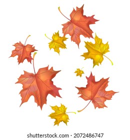 Autumn background with wedge leaves. Vector illustration for print, textile, paper.