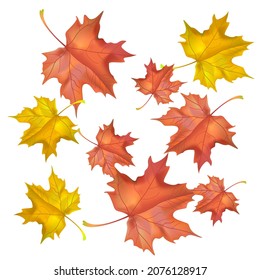 Autumn background with wedge leaves. Vector illustration for print, textile, paper.
