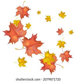 Autumn background with wedge leaves. Vector illustration for print, textile, paper.