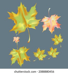 Autumn background with wedge leaves. Vector illustration for print, textile, paper.