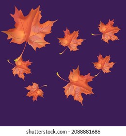 Autumn background with wedge leaves. Vector illustration for print, textile, paper.