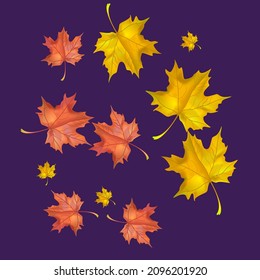 Autumn background with wedge leaves. Vector layout decorative greeting card or invitation design background. Hand drawn illustration