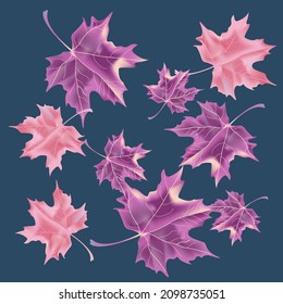 Autumn background with wedge leaves. Vector layout decorative greeting card or invitation design background. Hand drawn illustration