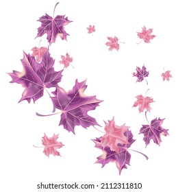 Autumn background with wedge leaves. Vector layout decorative greeting card or invitation design background. Hand drawn illustration