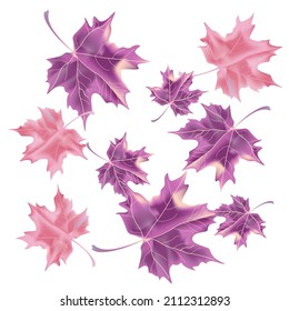 Fondo otoñal con hojas de cuña. Diseño de vectores tarjeta de bienvenida decorativa o fondo de diseño de invitación. Ilustración dibujada por mano