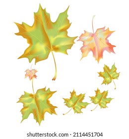 Autumn background with wedge leaves. Vector layout decorative greeting card or invitation design background. Hand drawn illustration