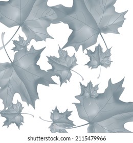 Fondo otoñal con hojas de cuña. Diseño de vectores tarjeta de bienvenida decorativa o fondo de diseño de invitación. Ilustración dibujada por mano