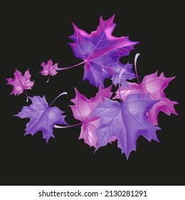 Fondo otoñal con hojas de cuña. Diseño de vectores tarjeta de bienvenida decorativa o fondo de diseño de invitación. Ilustración dibujada por mano