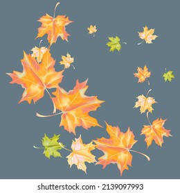 Autumn background with wedge leaves. Vector layout decorative greeting card or invitation design background. Hand drawn illustration
