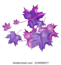 Autumn background with wedge leaves. Vector layout decorative greeting card or invitation design background. Hand drawn illustration
