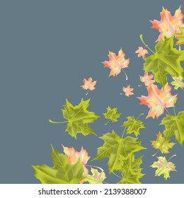 Autumn background with wedge leaves. Vector layout decorative greeting card or invitation design background. Hand drawn illustration
