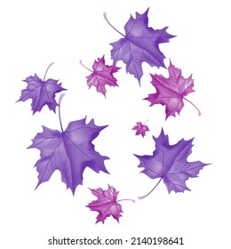 Fondo otoñal con hojas de cuña. Diseño de vectores tarjeta de bienvenida decorativa o fondo de diseño de invitación. Ilustración dibujada por mano
