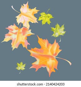 Fondo otoñal con hojas de cuña. Diseño de vectores tarjeta de bienvenida decorativa o fondo de diseño de invitación. Ilustración dibujada por mano
