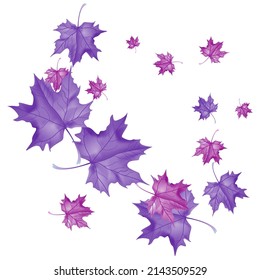 Fondo otoñal con hojas de cuña. Diseño de vectores tarjeta de bienvenida decorativa o fondo de diseño de invitación. Ilustración dibujada por mano
