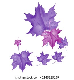 Autumn background with wedge leaves. Vector layout decorative greeting card or invitation design background. Hand drawn illustration
