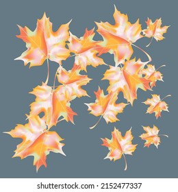 Autumn background with wedge leaves. Vector layout decorative greeting card or invitation design background. Hand drawn illustration
