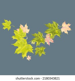 Autumn background with wedge leaves. Vector layout decorative greeting card or invitation design background. Hand drawn illustration
