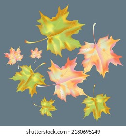 Autumn background with wedge leaves. Vector layout decorative greeting card or invitation design background. Hand drawn illustration
