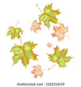 Fondo otoñal con hojas de cuña. Diseño de vectores tarjeta de bienvenida decorativa o fondo de diseño de invitación. Ilustración dibujada por mano