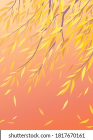 Autumn background with weeping willow tree branches. Fall season view with falling yellow leaves and warm windy weather. Vector flat illustration.