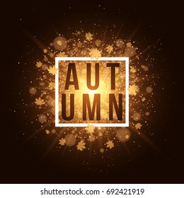 Autumn background with white banner and black text. Golden leaves of maple. Abstract golden bright flash of light. Orange flare bokeh. Background, banner for your project. Vector illustration