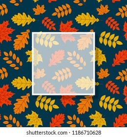 Autumn background with white square transparent frame and golden leaves. Vector сard, cover or poster template. 