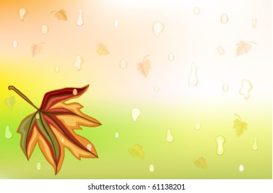 Autumn background wit golden leaf and drops of rain. Vector illustration saved as EPS AI8, gradient mesh used.