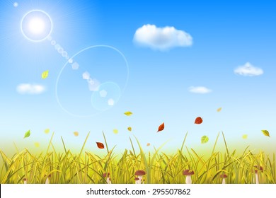 Autumn background with yellow grass, mushrooms, leaves, sky, sun and clouds