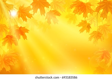 Autumn background with yellow leaves.