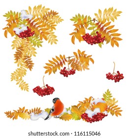 Autumn background with yellow leaves and bunches of rowan. Vector illustration