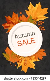 Autumn background with yellow leaves and frame with inscription is sold on a black background.