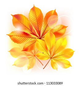 Autumn background with yellow leaves. Vector illustration.