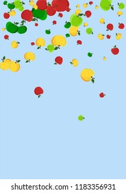 Autumn background with yellow, red and green apples.