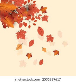 Autumn autumn background with yellow, red and orange autumn leaves, with space for text. Frame with autumn leaves.