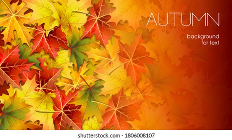 Autumn background for your text with foliage