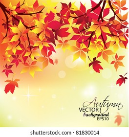 Autumn Background-Autumn Leaves Falling