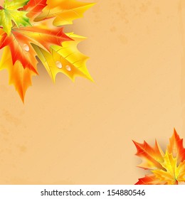 autumn background.autumn maple leaves with drops of rain on a grunge background.vector