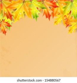 autumn background.autumn maple leaves with drops of rain on a grunge background.vector