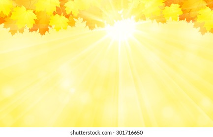 Autumn background.Yellow maple leaves and the sun.