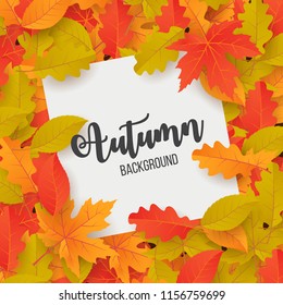 Autumn backround with leaves. Vector illustration