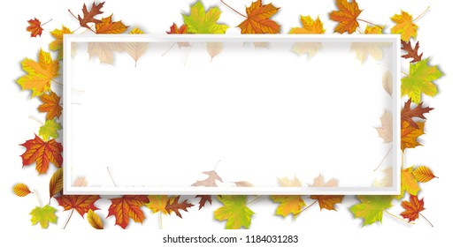 Autumn banner with awhite frame.  Eps 10 vector file.