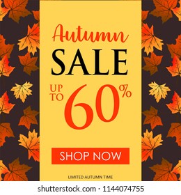 Autumn banner background collection
