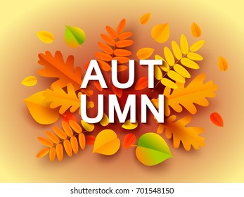 Autumn banner background with fall leaves. Vector illustration