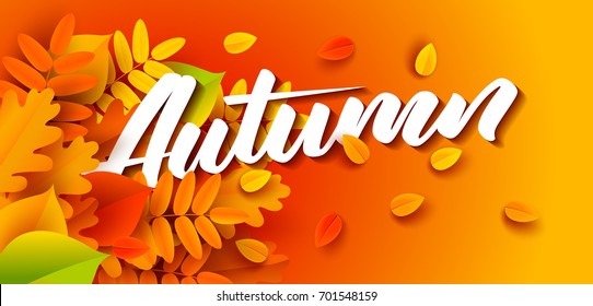 Autumn banner background with fall leaves. Vector illustration