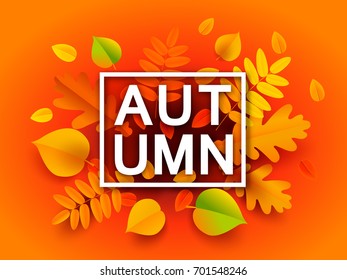 Autumn banner background with fall leaves. Vector illustration