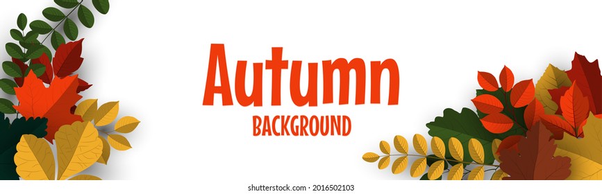 Autumn banner background with autumn leaves