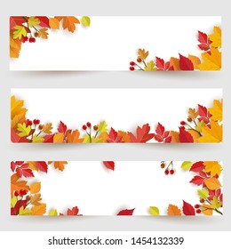 Autumn banner background with leaves. background banner template