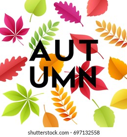 Autumn banner background with paper fall leaves. Vector illustration EPS10